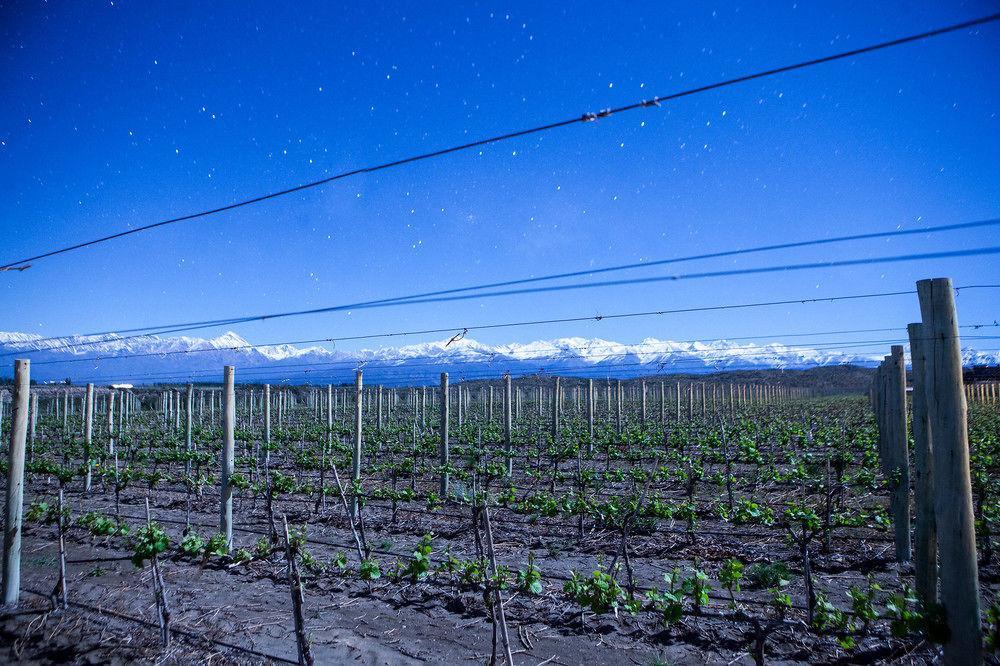 Auberge Du Vin, A Tribute Portfolio Hotel Tupungato Dış mekan fotoğraf