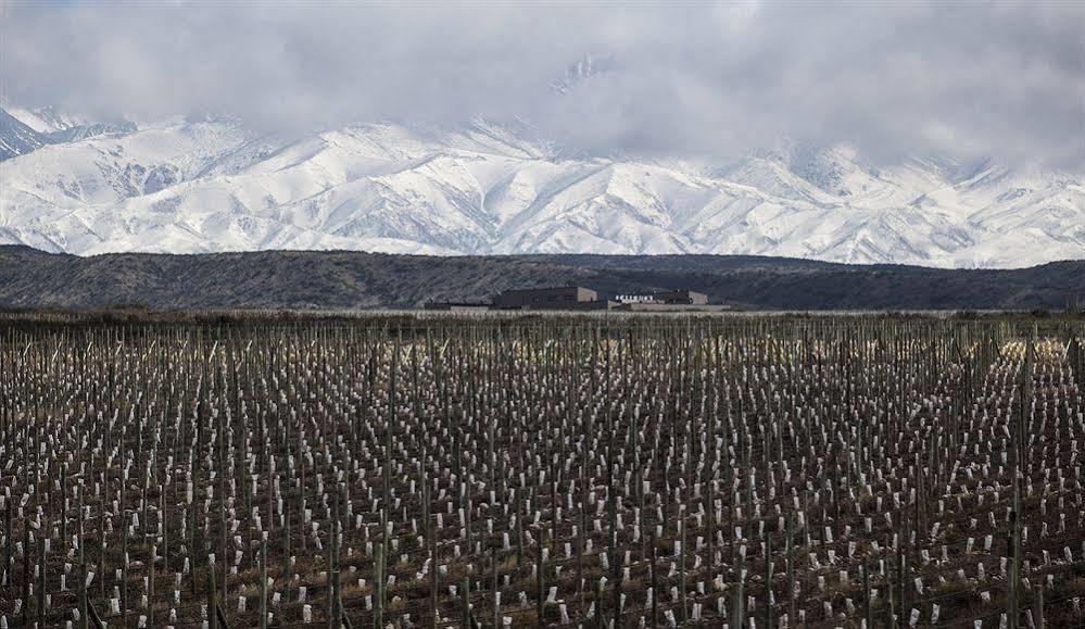 Auberge Du Vin, A Tribute Portfolio Hotel Tupungato Dış mekan fotoğraf
