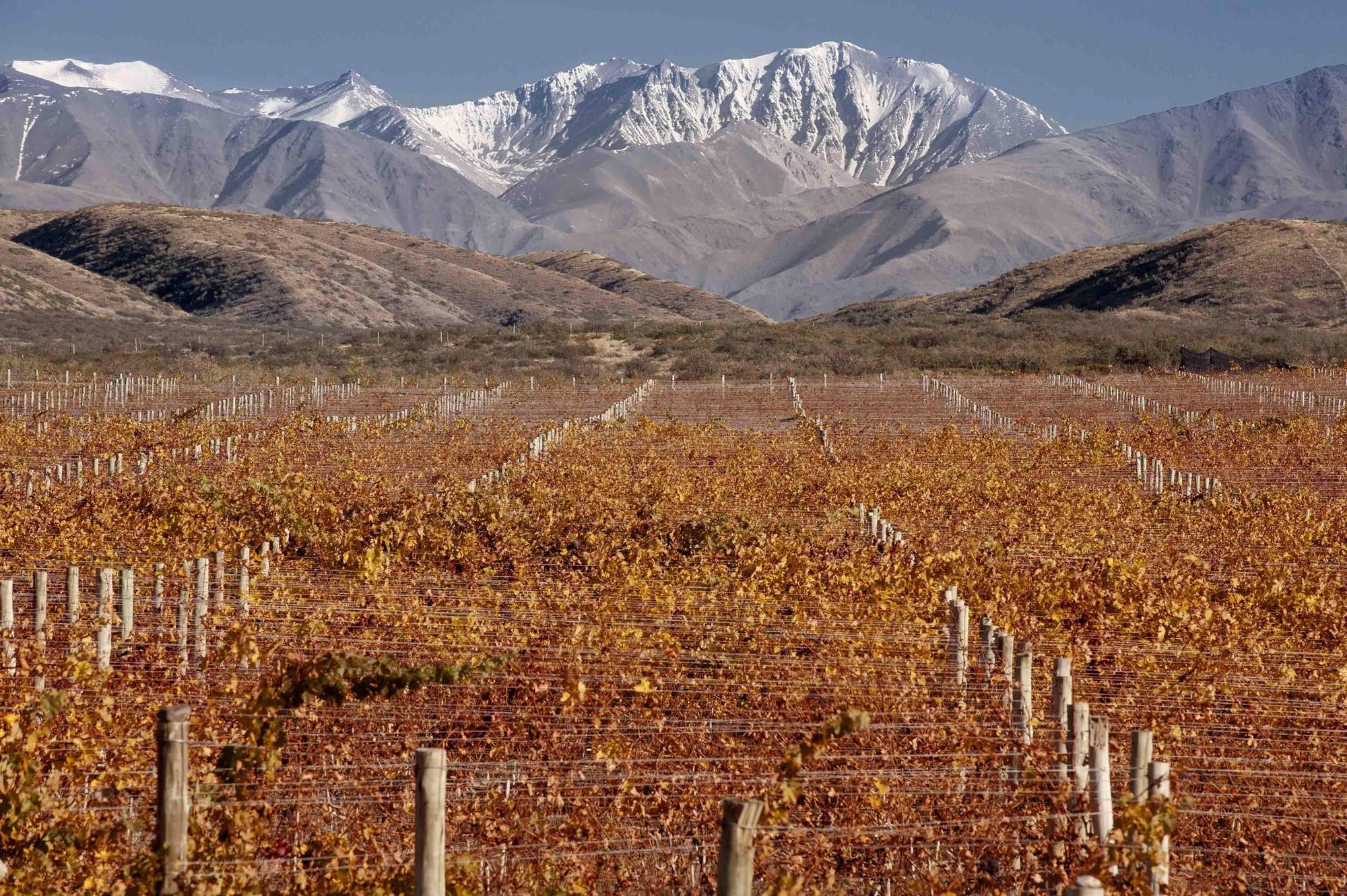 Auberge Du Vin, A Tribute Portfolio Hotel Tupungato Dış mekan fotoğraf
